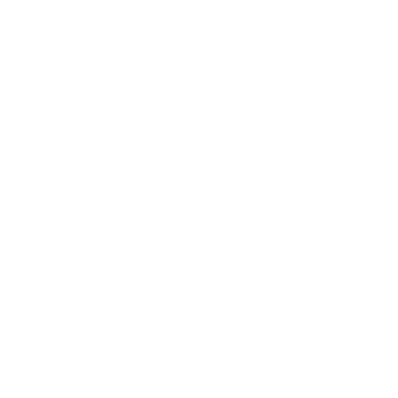 traunsim